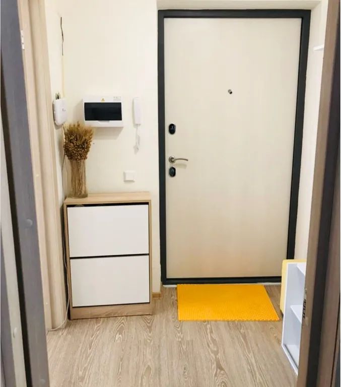 Уютная квартира в Девяткино