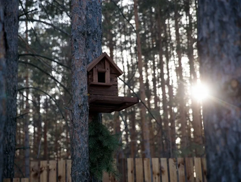 Дом А-фрейм с камином и баней с видом на лес