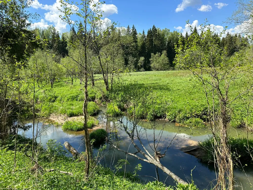 Желтый домик в лесу на Живописной улице