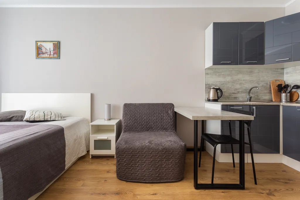 Студия у метро Парнас