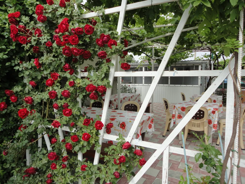 Частный дом у моря