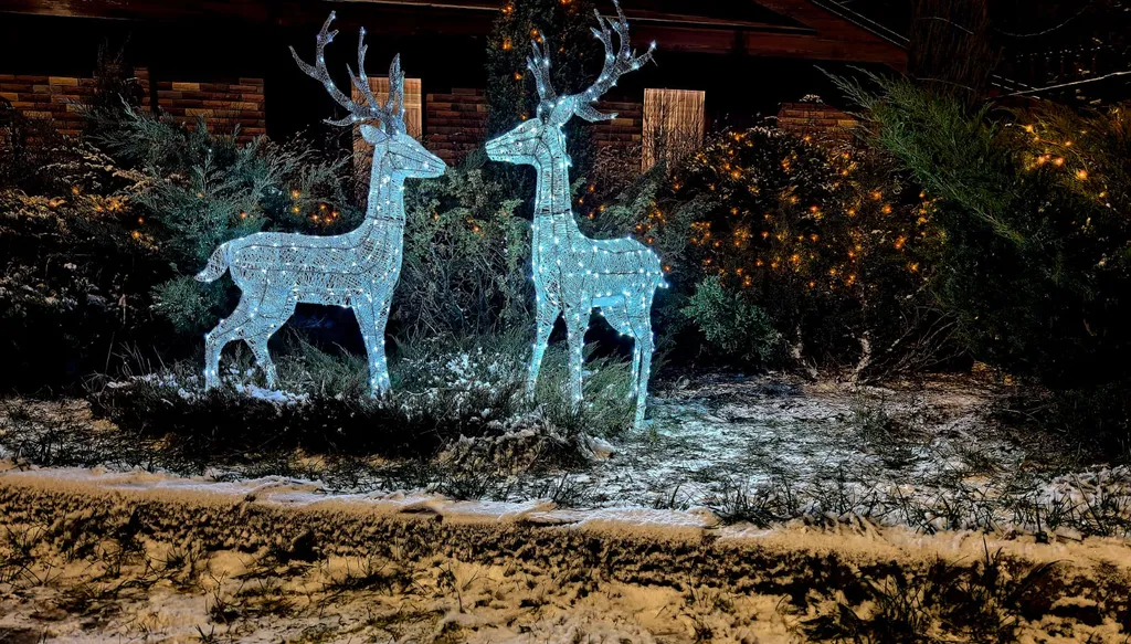 Дом на берегу реки с баней на дровах