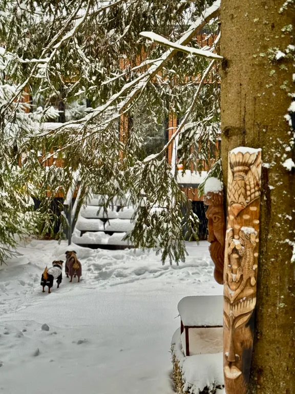 Дом с чаном и сауной в лесу