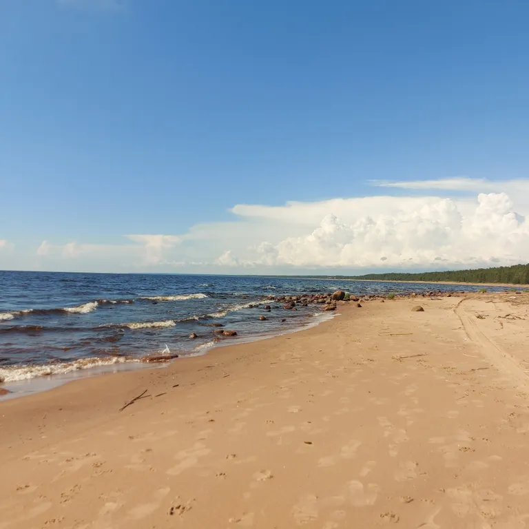 Коттедж Дом в Карелии с видом на реку — Нурмойла