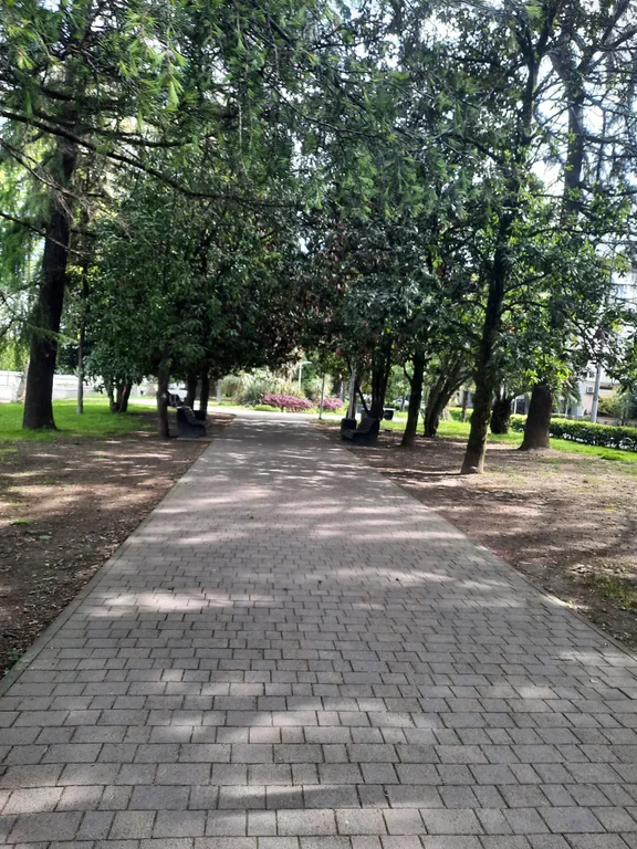 Квартира Апартаменты в центре Сочи — Сочи