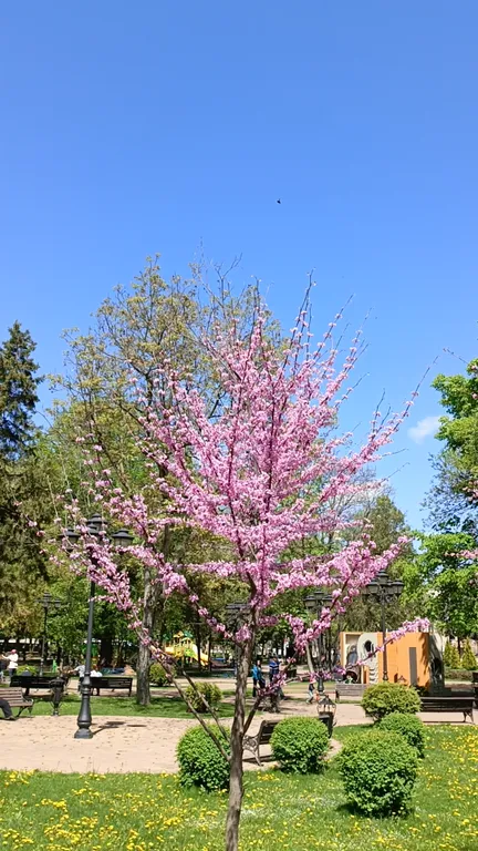 5-комнатный Дом