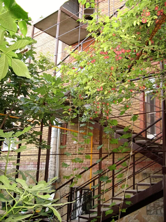 Квартира Комната — Геленджик