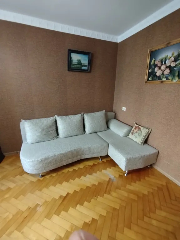 Квартира в центре, рядом парковая зон