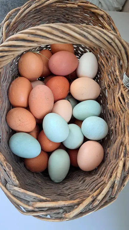 Семейный дом 1