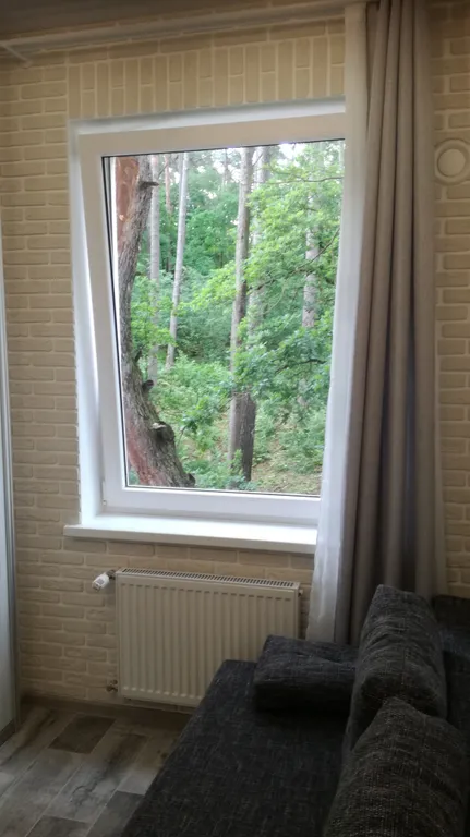 Студия в Сосновом бору