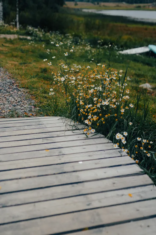 Дом с видом на озеро рядом с Ладожскими шхерами