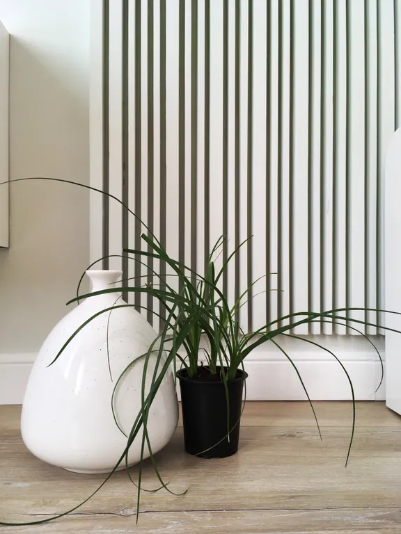 Современная квартира в центре города