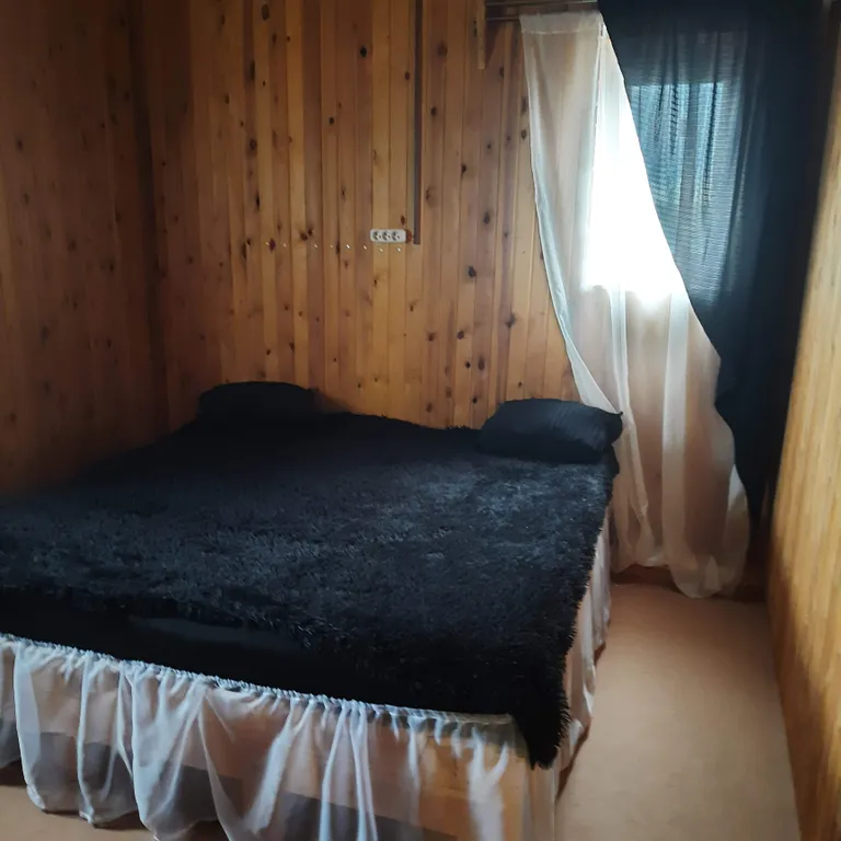 Загородный дом со всем необходимым для отдыха компанией