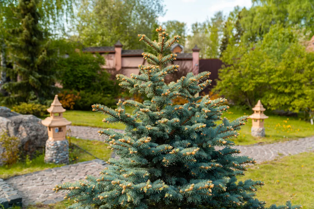 Коттедж Дом на пруду с дровяной сауной и караоке в китайском стиле — Высоково