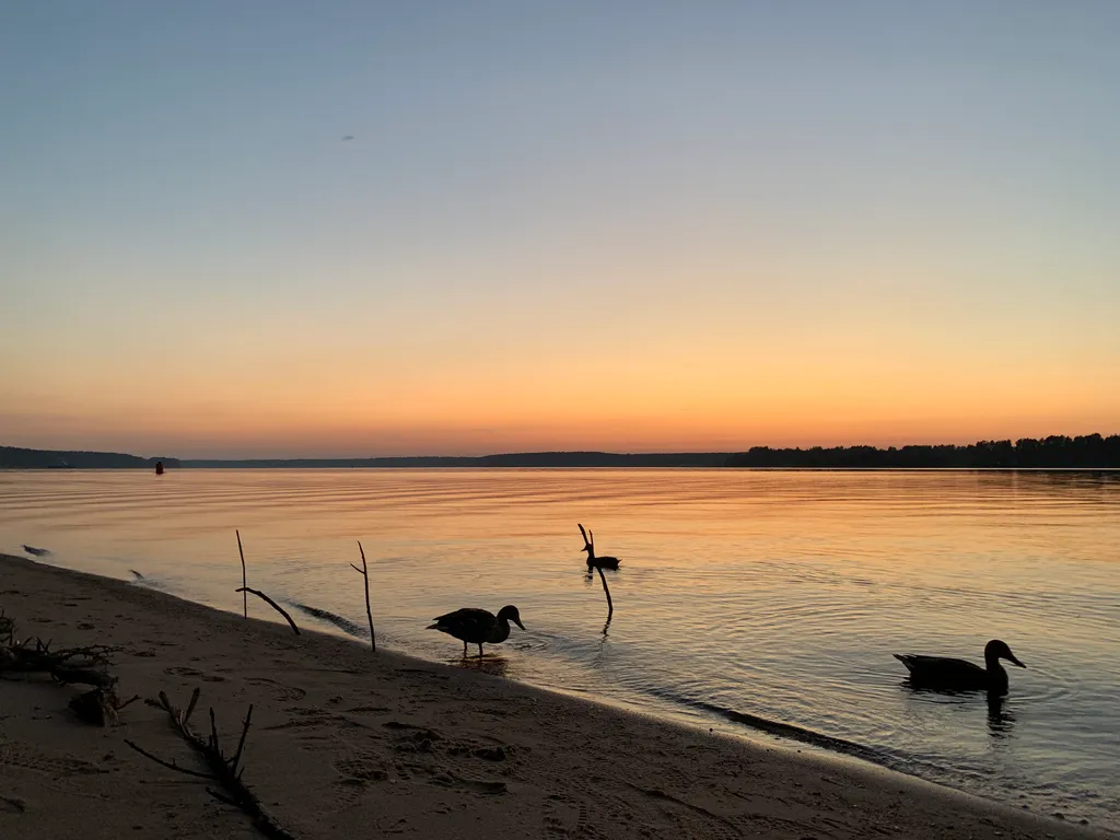 Стильная и уютная квартира в центре