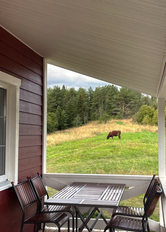 Панорамный двуспальный дом в Карелии рядом с Ладогой