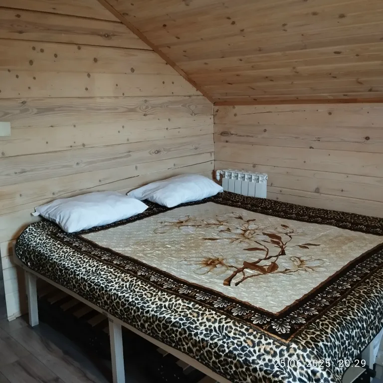 Дом на горе