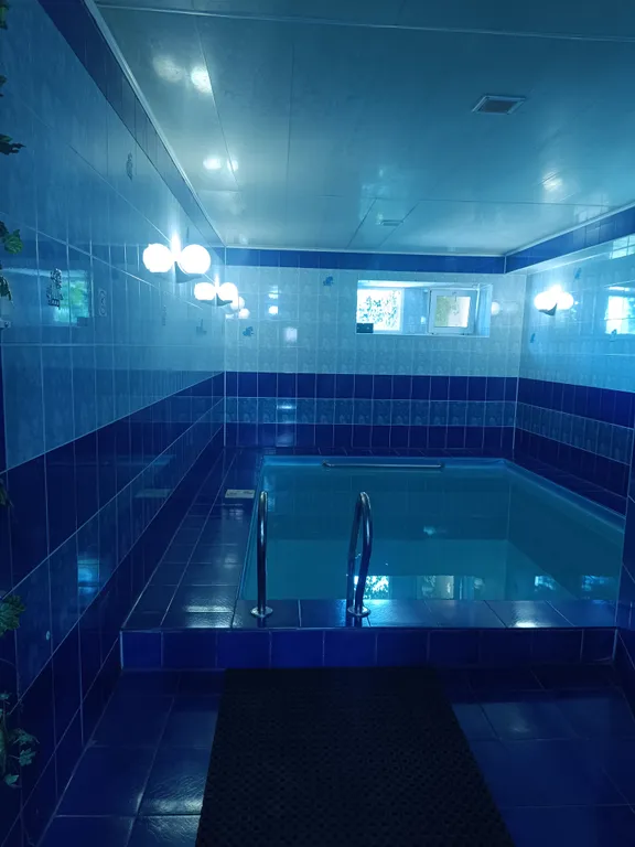 Дом с бассейном