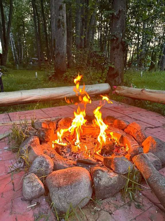 Коттедж Дом в окружении леса с камином, баня с купелью, зона барбекю — Троице-Лобаново