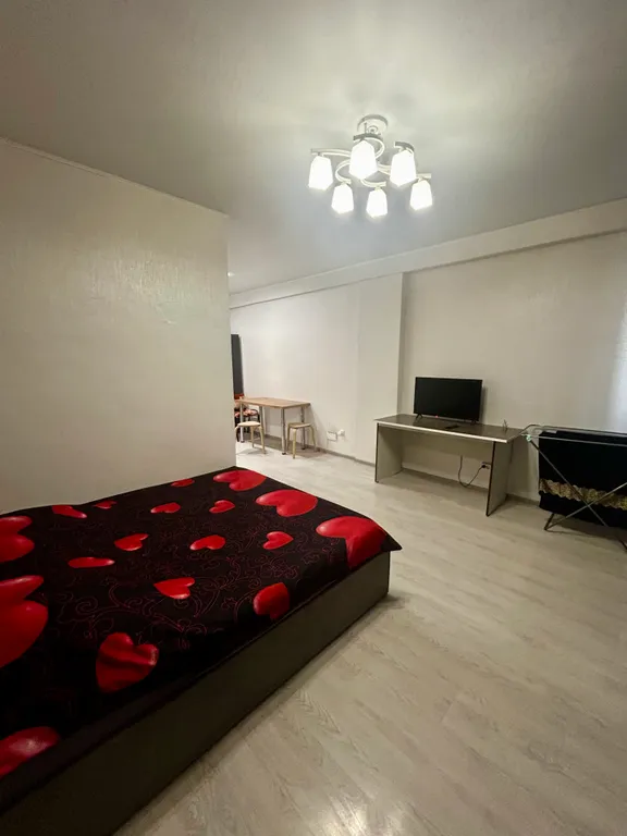 Просторная студия у парка