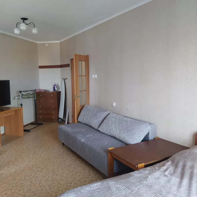 Просторная однокомнатная квартира. — аренда посуточно в Сосновый Бор