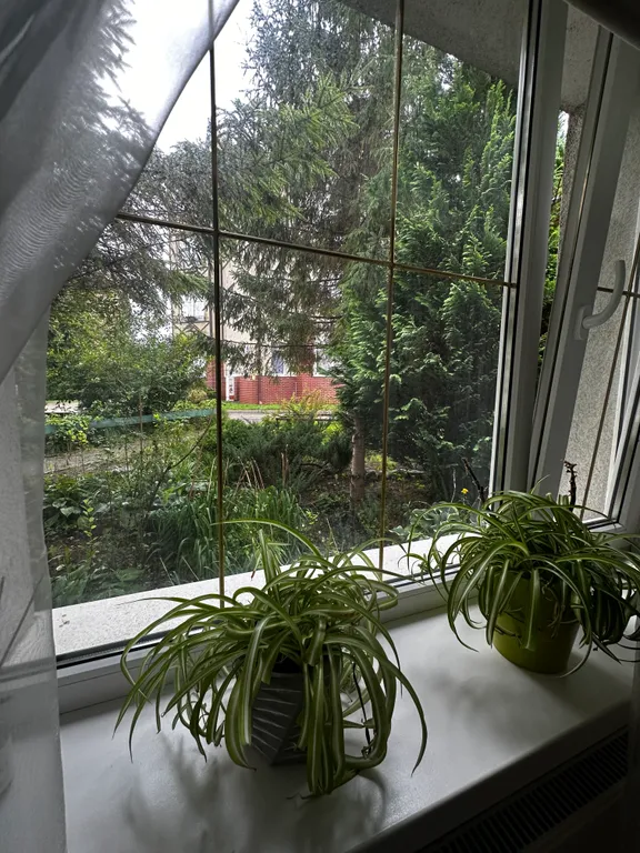 Квартира 2-комнатная Квартира — Зеленоградск