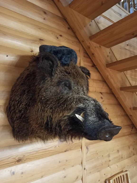 Двухэтажный дом за городом