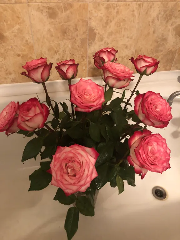 Квартира 2-комнатная Квартира — Анапа