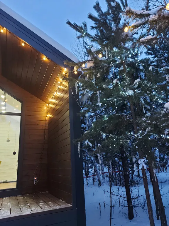 Загородный дом в лесу