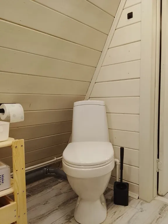 Большой дом А-Фрейм среди молодого елового леса