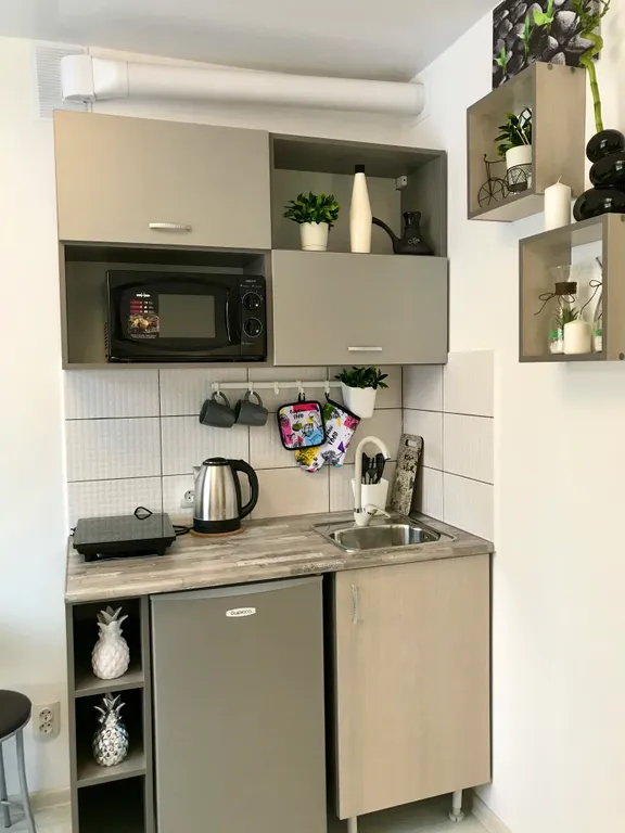 Уютная студия Бамбук на площади Маркса