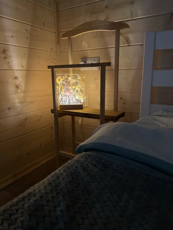 Дом на реке и краю соснового леса