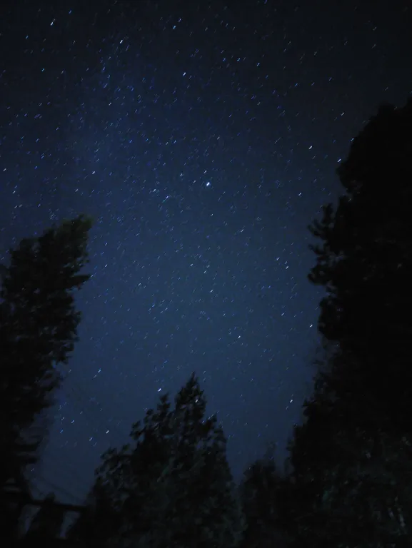 Дом в сосновом лесу у Финского залива