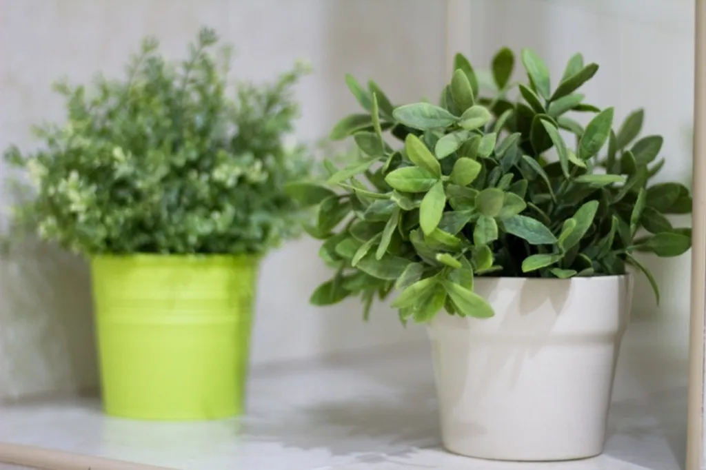 Апартамент с джакузи