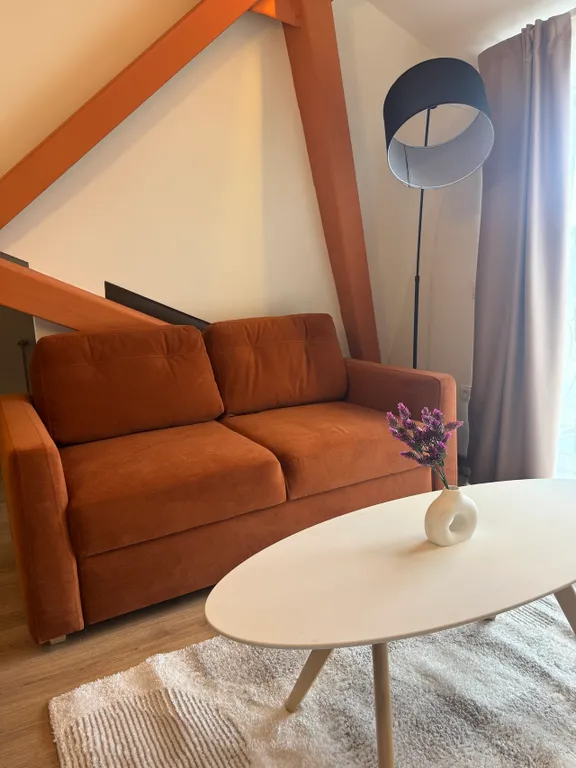 Апартаменты мансарда