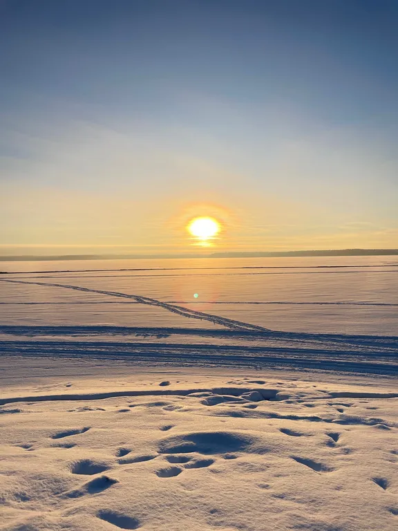 Коттедж Домик в лесу у озера для семейного отдыха — Турбаза Чайка