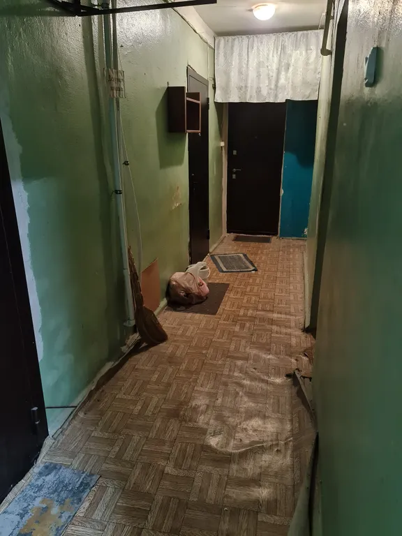 Студия с видом на озеро Кабан