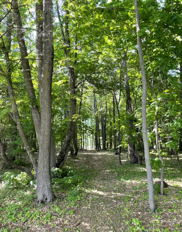 Дома в Болгаре на берегу реки Волга