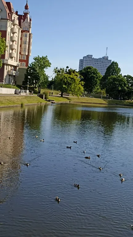 Квартира Уютная квартира в центре города — Калининград