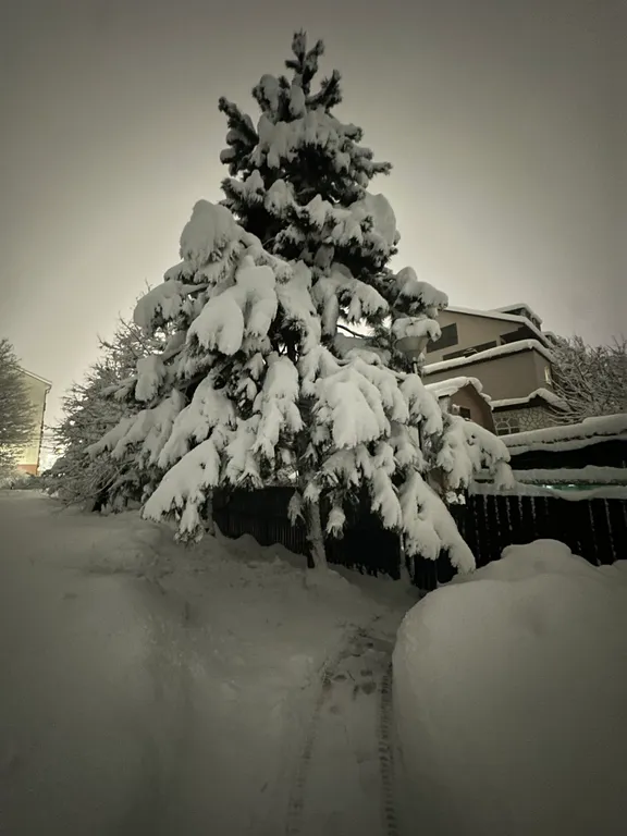 Уютный домик в тихом районе