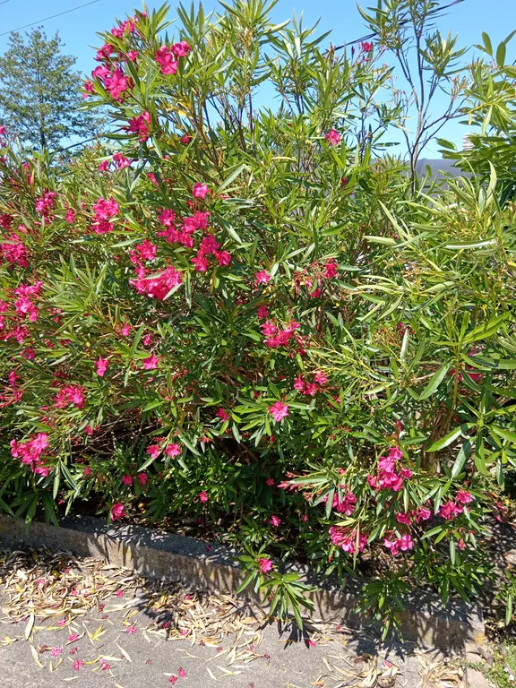 Квартира Уютная студия в комплексе Хобза ленд на 4 гостя — Нижняя Хобза