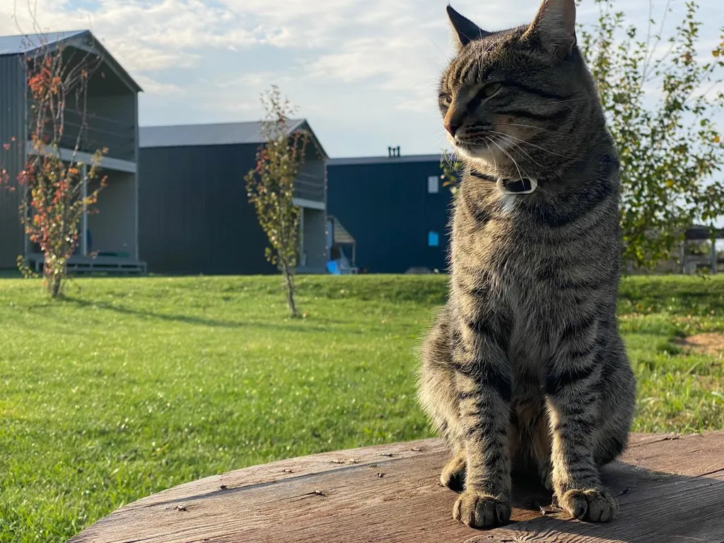 Дом у реки Дубна на первой линии