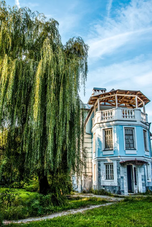 Усадьба Поспеева - весь комплекс