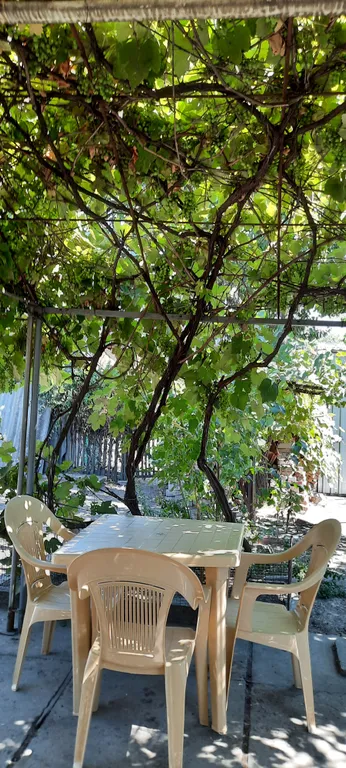 Апартаменты в 5 минутах от моря