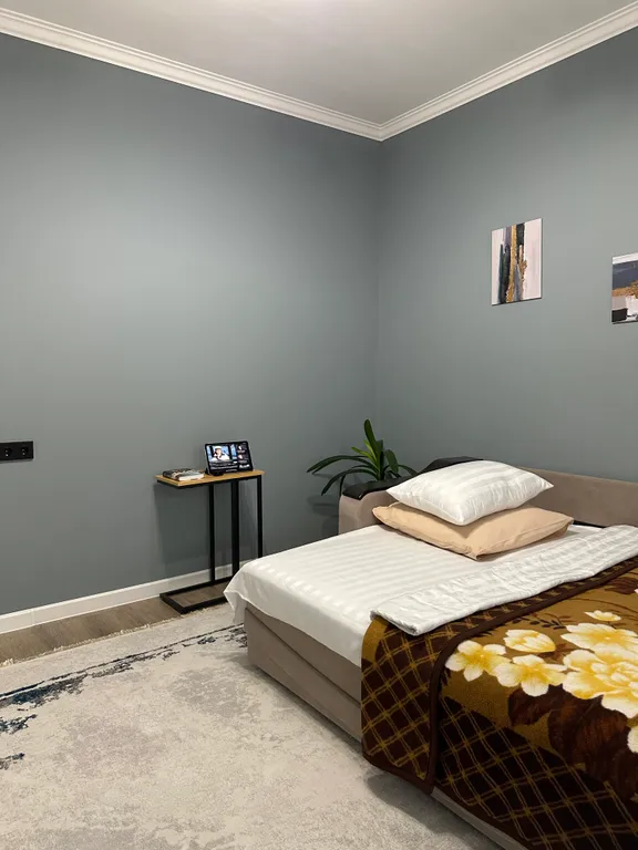 Квартира Cozy home Almaty - аренда уютной квартиры — Алматы