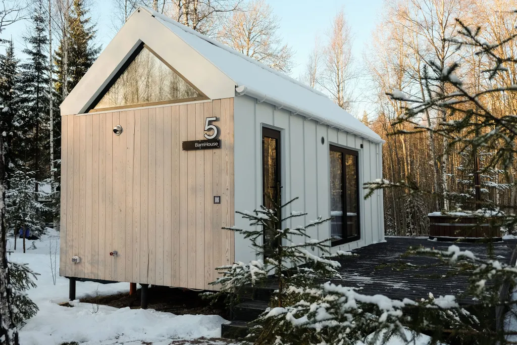 Дом в лесу на 2-х с купелью фурако и мангальной зоной