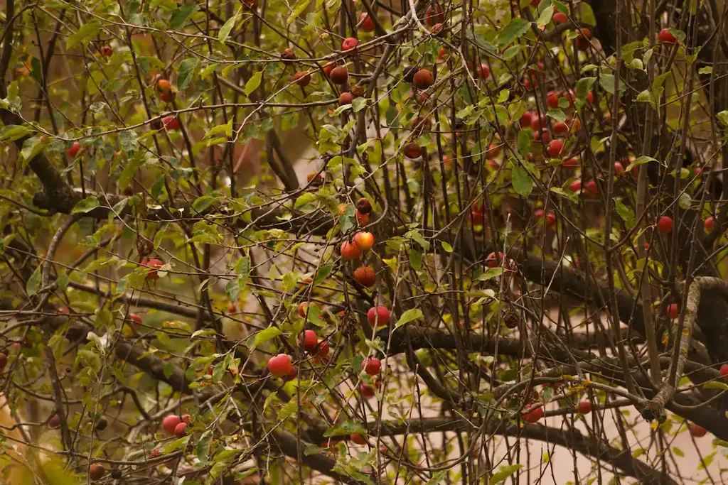 Уютный коттедж