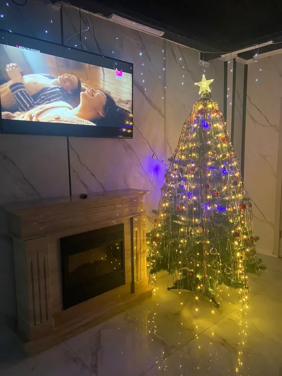 Двухместная студия с видом на горы и двумя отдельными кроватями.