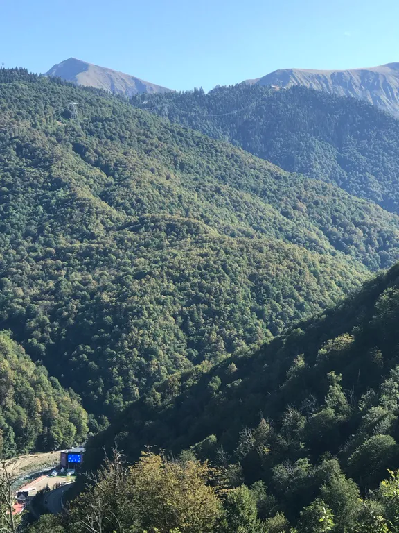 Квартира Делюкс-комната в лучшем районе Чёрного моря — Сириус