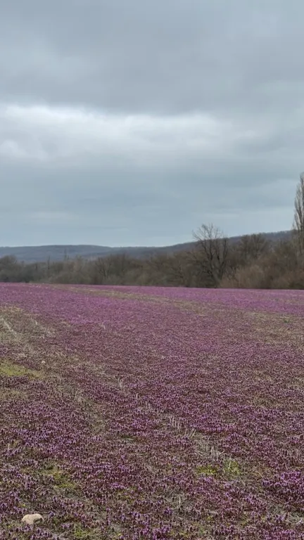 Коттедж Загородный дом с бассейном Family home — Лабинск